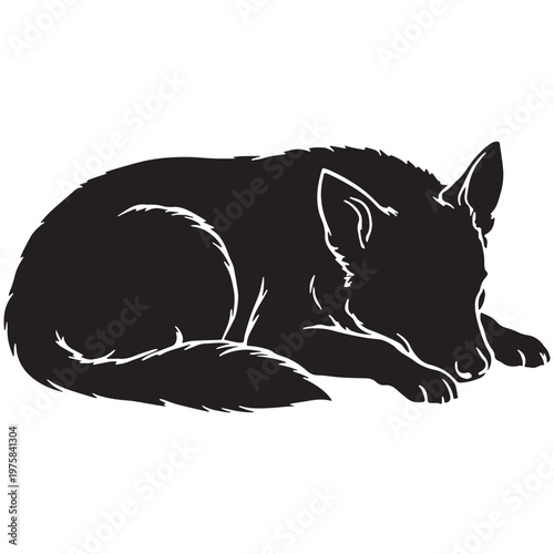 Norwegian, Buhund, Nordic, Spitz, Agile, Energetic, Loyal, Intelligent, Active, Herding, Farm, Working, Friendly, Alert, Brave, Playful, Devoted, Compact, Strong, Versatile, Watchdog, Confident.