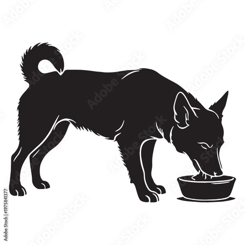 Norwegian, Buhund, Nordic, Spitz, Agile, Energetic, Loyal, Intelligent, Active, Herding, Farm, Working, Friendly, Alert, Brave, Playful, Devoted, Compact, Strong, Versatile, Watchdog, Confident.