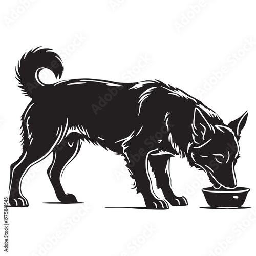 Norwegian, Buhund, Nordic, Spitz, Agile, Energetic, Loyal, Intelligent, Active, Herding, Farm, Working, Friendly, Alert, Brave, Playful, Devoted, Compact, Strong, Versatile, Watchdog, Confident.