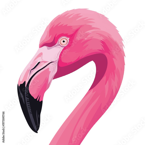 Vibrant pink flamingo illustration featuring a curved neck and bold beak in profile.