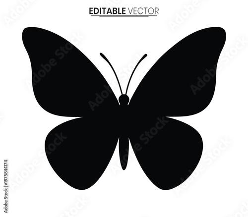 A simple black butterfly design with delicate features presented as a vector silhouette
