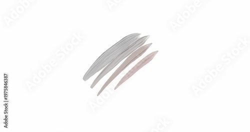 Animated metallic silver and beige rose gold multiple brush strokes on white background, 3D textured liquid metal streaks, luxury title bar design element