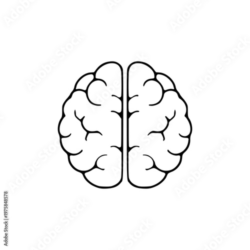 Brain silhouette icon isolated on white background