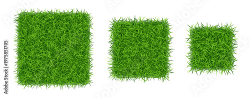 Green grass in squares shape isolated. Vector
