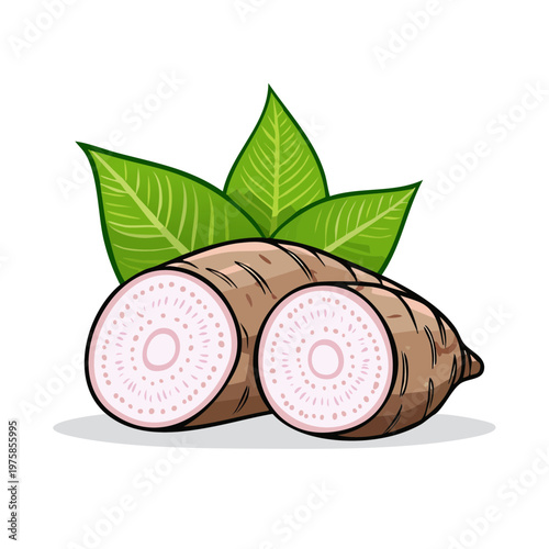 Fresh Cassava root with green leaves cut open showing fibrous interior and raw starch texture