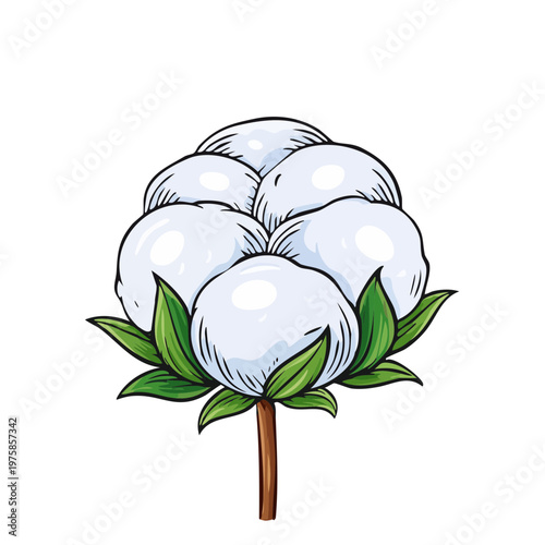Hand Drawn Cotton Plant with White Fluffy Bolls and Green Leaves