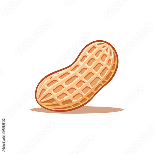 Single Peanut in Shell with Textured Surface and Shadow