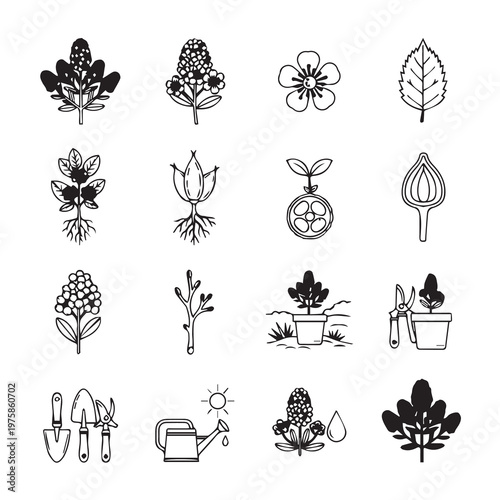 Botanical Illustrations: Plant Growth Stages & Gardening Tools Line Art Style