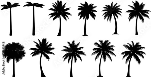 Diverse collection of tropical palm tree silhouettes, featuring various shapes and sizes, perfect for summer and vacation designs.