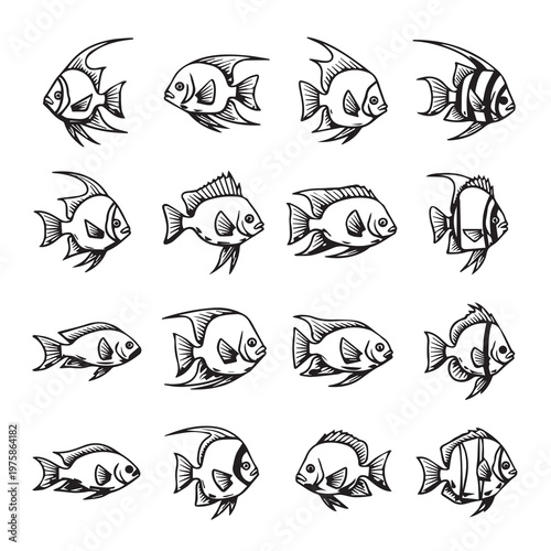 Collection of diverse fish illustrations in a clean graphic style for aquatic themes