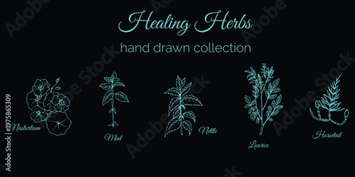 Hand drawn healing herbs collection with glowing neon botanical illustrations on black background