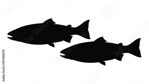 Two black silhouettes of fish swimming likely salmon or trout against a white background