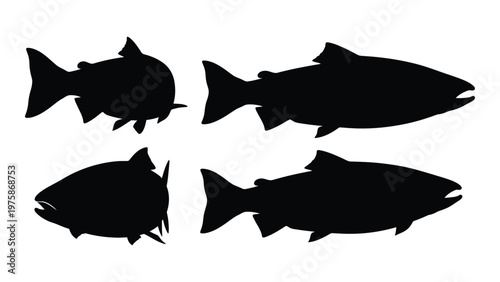 Silhouette illustration of three different fish swimming in a horizontal arrangement