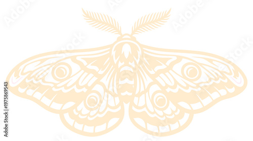 Elegant moth insect illustration. Features detailed wings, antennae, and body in a light beige, monochromatic style. Delicate vector artwork for nature, biology, and entomology themes.