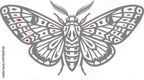 Vintage moth vector illustration, detailed insect line art with pink accents, mystical butterfly graphic for apparel and tattoo design