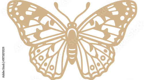 Ein detailliertes, beiges Schmetterlingsdesign mit filigranen Flügelmustern, isoliert auf weißem Hintergrund.