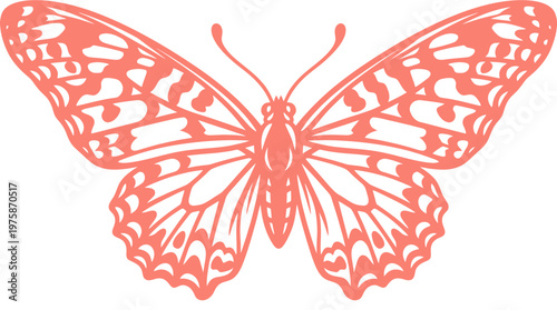 Detaillierte Darstellung eines Schmetterlings mit filigranen Flügelmustern in Korallenrot, als grafisches Element.