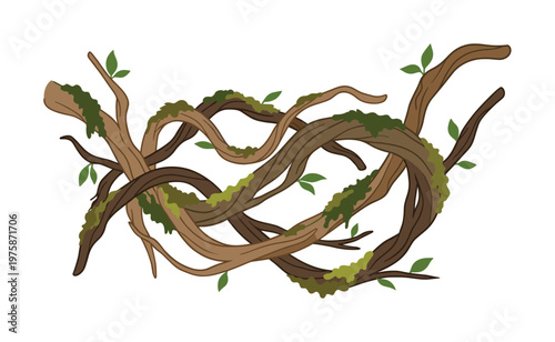 Illustration of tangled jungle vines or tree branches covered with green moss and leaves. A natural, wild, and organic design element for forest or nature themes.