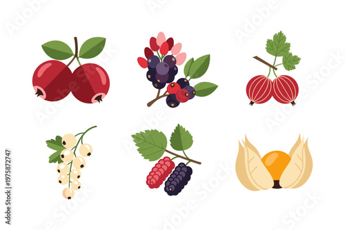 Assorted Berries Collection