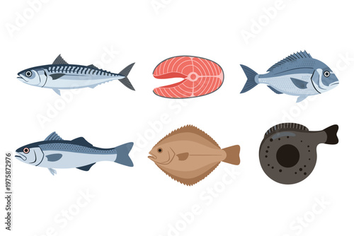 Assorted Seafood Collection