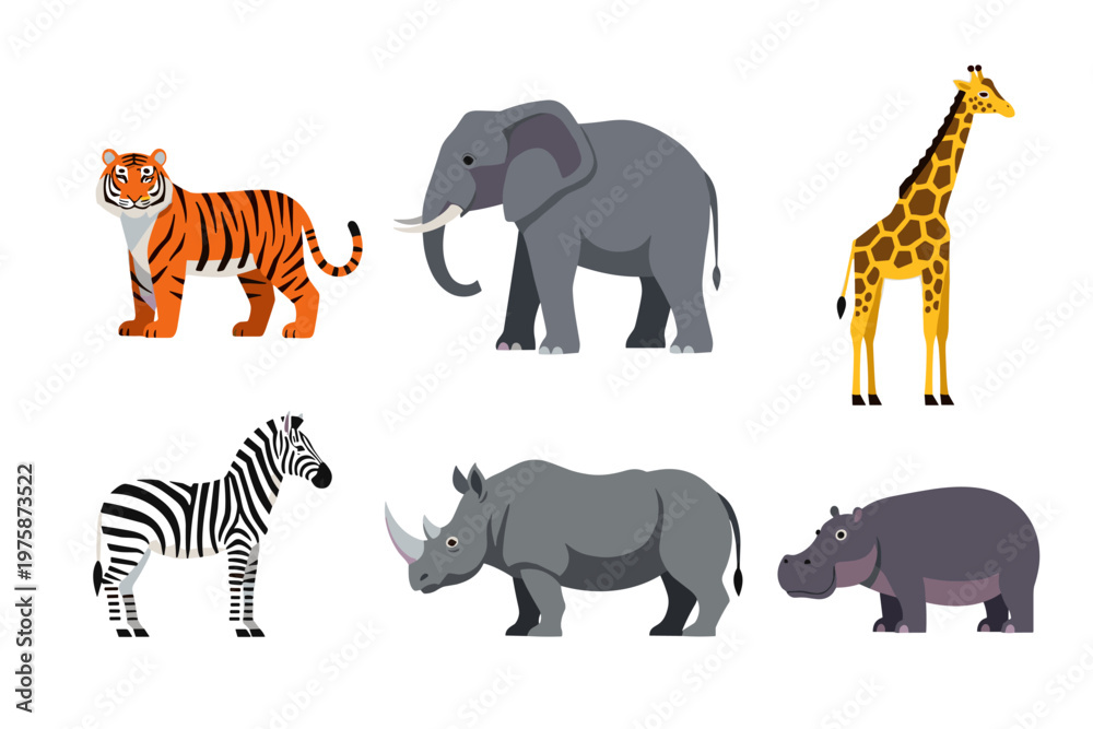 Obraz premium African Wildlife Animals Collection