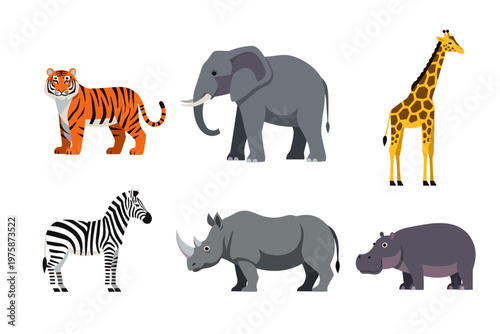 African Wildlife Animals Collection