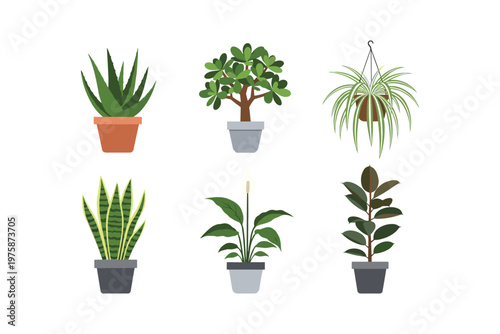Potted Houseplants Collection