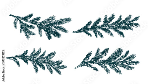 Fir branch set blue on a white background hand drawn