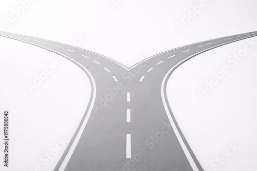 Path Splitting into Two Directions Showing Decision Point
