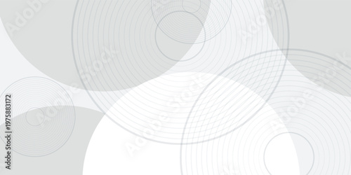White geometric abstract background overlap layer on bright space with lines effect decoration. Modern graphic design element circles style concept for banner, modern vector ilustration
