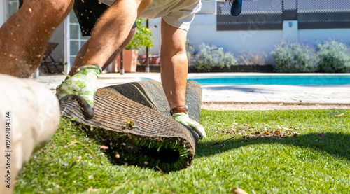 Close up Worker removing old artificial lawn in a backyard with a pool, illustrating home improvement, garden renovation, landscaping work and outdoor labor in a residential setting.