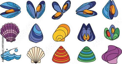Seashell Vector Set Mussel Clam Shell Marine Collection Flat Illustration
