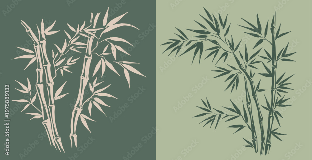 Obraz premium Bamboo tree, Hand drawn style.