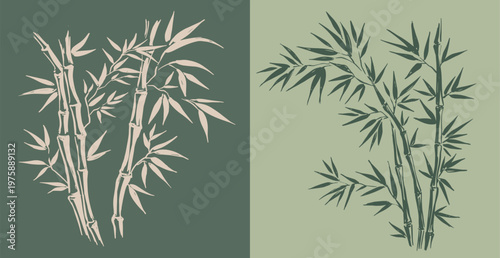 Bamboo tree, Hand drawn style.