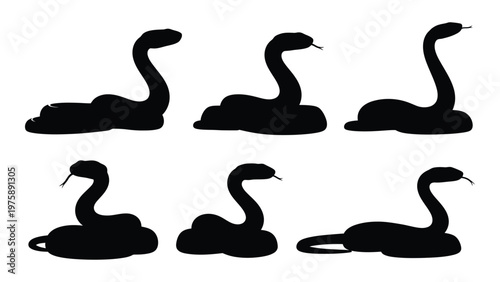 Silhouettes of snakes in various poses showcasing their sinuous and flexible forms
