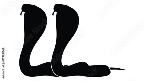 Two cobras poised in a threatening stance depicted as a stark black silhouette