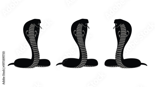 Three stylized cobra silhouettes are displayed in a row showcasing the reptile s iconic hood