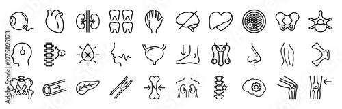 Minimalist human anatomy and internal organs line icon set