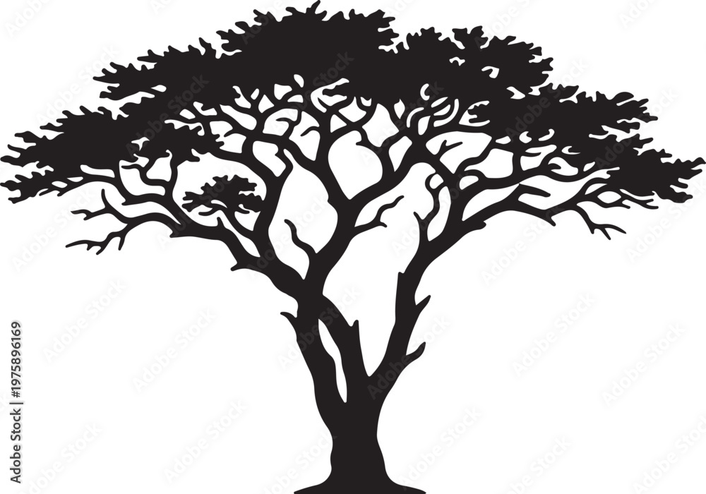 Fototapeta premium Maple Tree with Leaves Silhouette, Summer Nature Vector, Park Landscape Graphic, Tree Logo