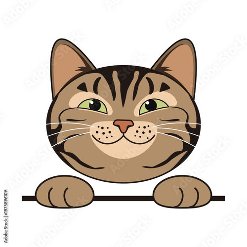 Cute happy tabby cat close-up head with paws on white background. Vector