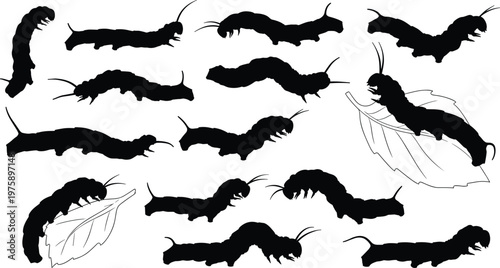 Collection of crawling caterpillar silhouettes showing various poses and shapes, detailed insect larva forms isolated on white background for nature, entomology and design use