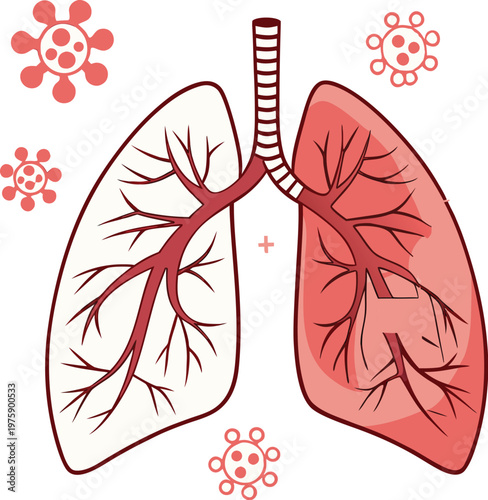 Vintage floral vector illustration of human heart anatomy featuring red blood cells and pink flowers in a decorative nature pattern for a Valentine beauty card design