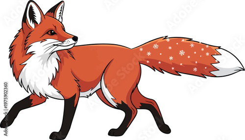 A cartoon fox with a white and orange coat and a bushy tail is walking on a plain background.
