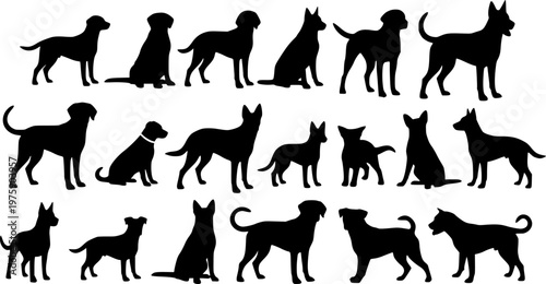 Group of dogs various poses vector silhouettes collection.
