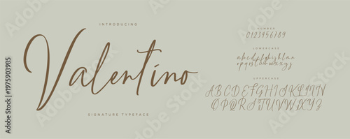 signature Font Calligraphy Logotype Script Brush Font Type Font lettering handwritten. Minimal modern urban fonts for logo, brand etc. Typography typeface uppercase lowercase and number. vector 