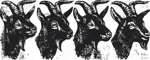 set of four hand drawn vintage goat head illustrations in profile, rustic farm animal art