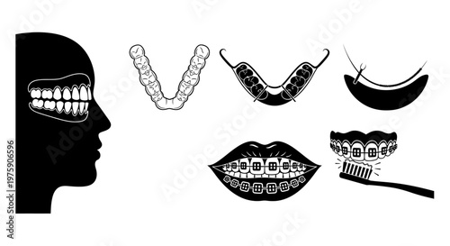 Dental Orthodontic Treatment and Oral Hygiene Concepts