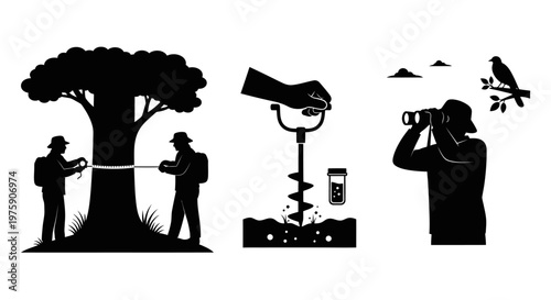 Ecological research: scientists measuring tree, collecting soil sample, birdwatching