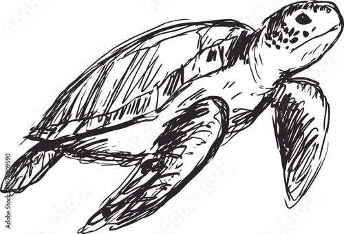 Vintage hand drawn sea turtle sketch with detailed shell and flippers illustration