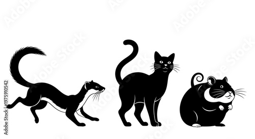 Black and white illustration of a weasel, a cat, and a hamster.